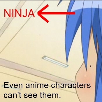  Ninjas