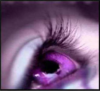  Purple Eyes