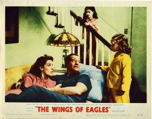  The Wings of Eagles