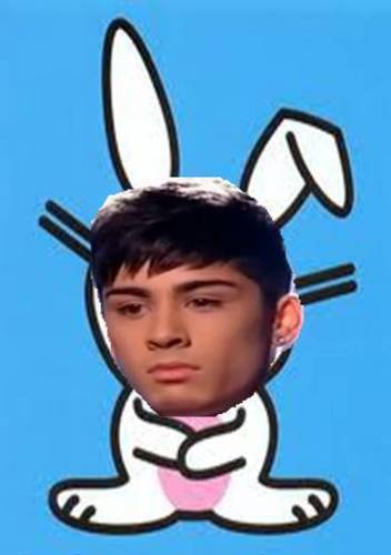  Zayn Isn't A Happy Bunny :( 100% Real ♥