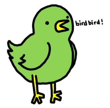  bird bird