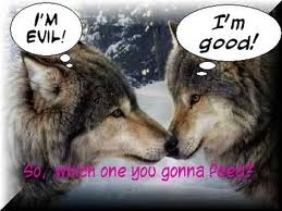  funny lobos