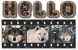  hello these are wolves