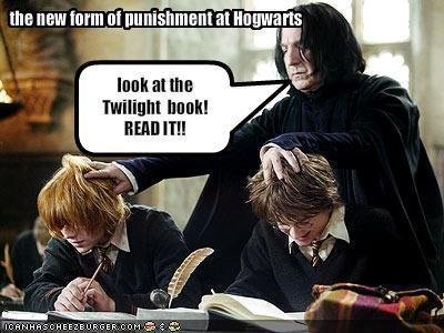  ~HP vs. Twilight~