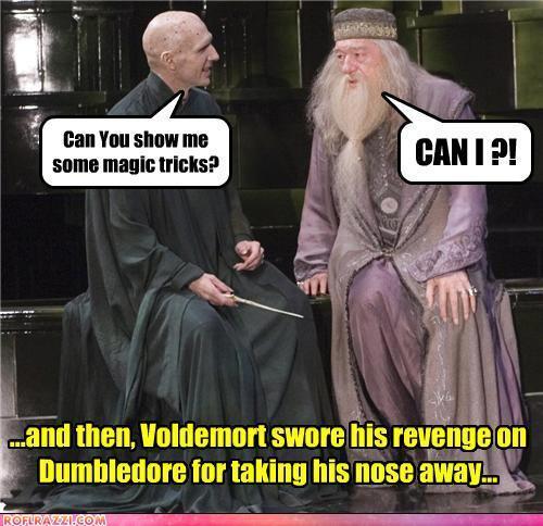  Death Eater/Voldemort LOLS!