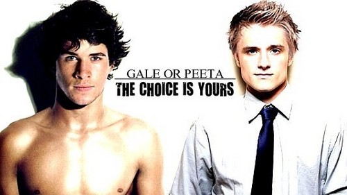  Gale or Peeta