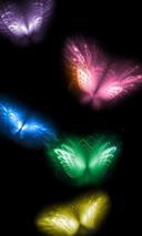  Neon Butterflies