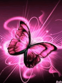  Pretty roze vlinder