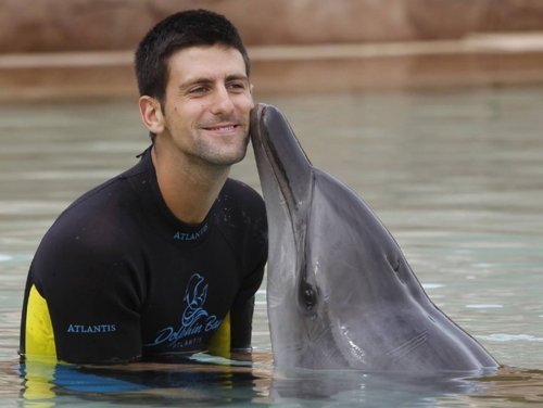 Novak Swimming Wiv A Dolphin (Aww Bless) Love Everyfing Bout The Serbernator 100% Real ♥