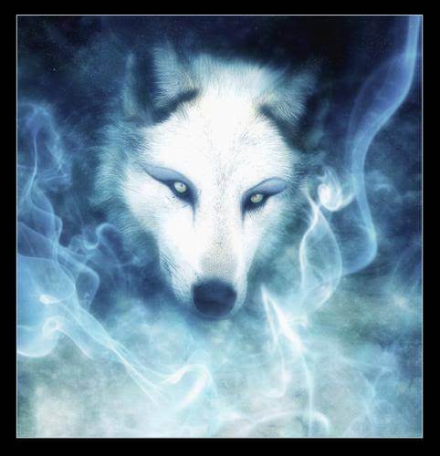 Spirit wolf - Wolves Photo (22089817) - Fanpop