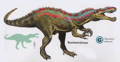  Suchomimus