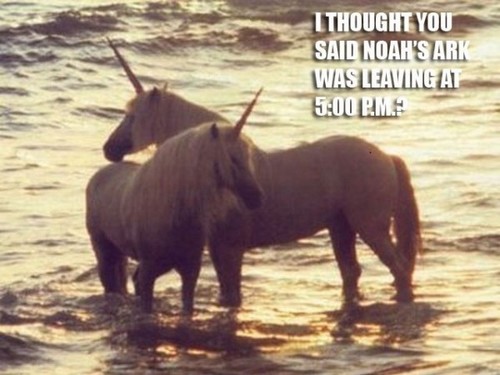  What happened to unicorns...