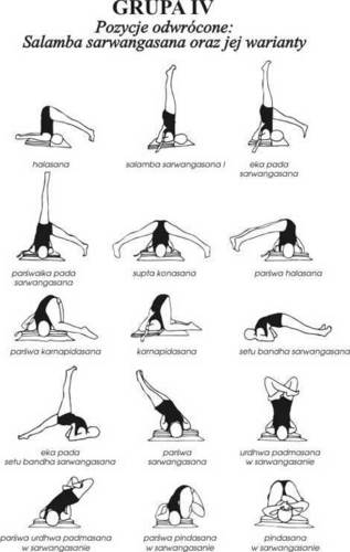  Yoga exercises