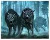  two angry lobos