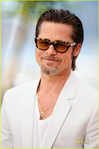  Brad Pitt: Cannes 照片 Call for 'Tree of Life'