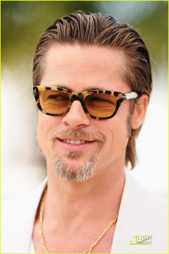  Brad Pitt: Cannes photo Call for 'Tree of Life'