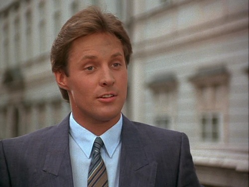  Bruce Boxleitner as Lee Stetson