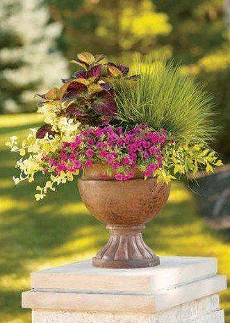  Container Gardens
