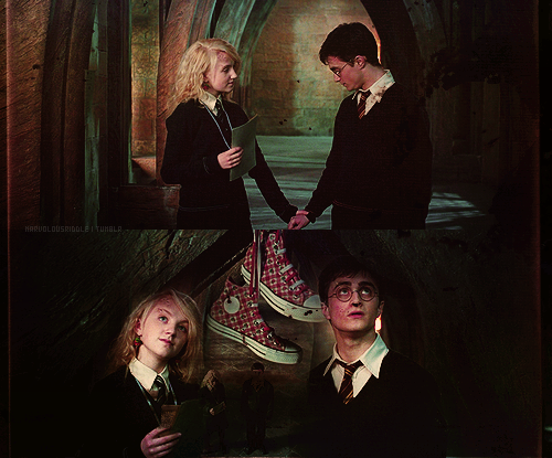  Harry & Luna
