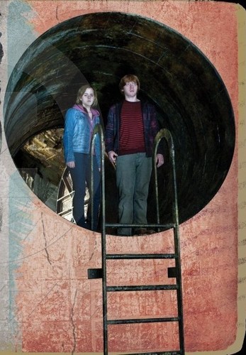  Hermione and Ron in the Chamber of Secrets-DH2
