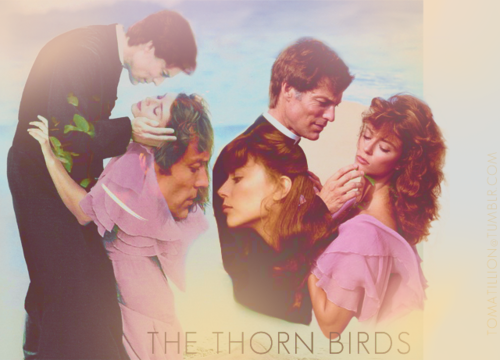 The thorn birds