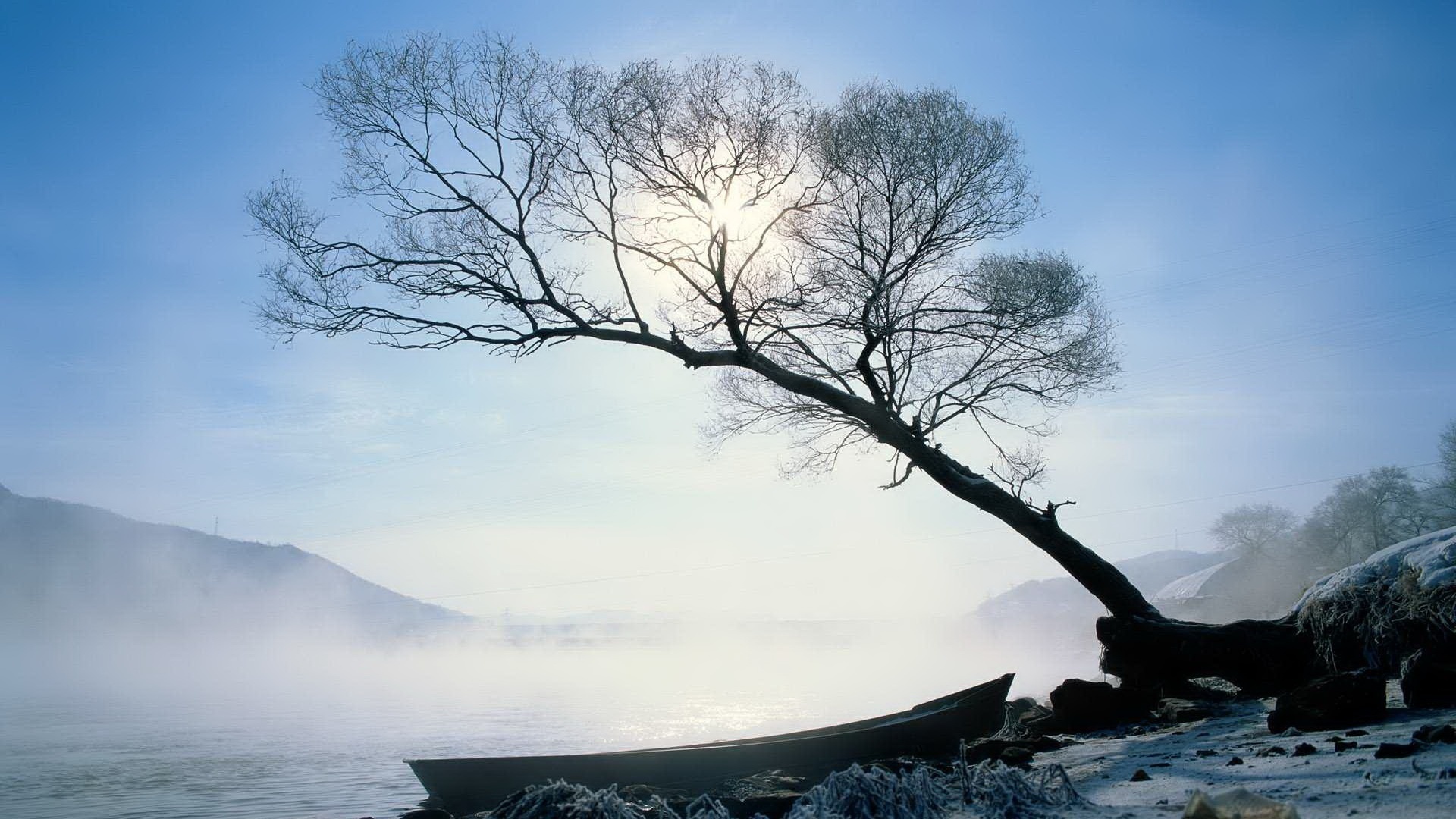Trees in winter - Nature's Seasons Wallpaper (22173954) - Fanpop