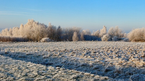  Winter landscape