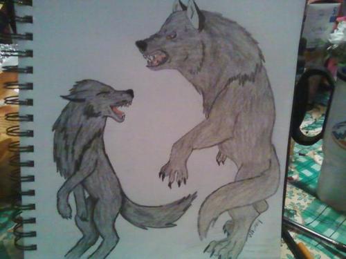  狼, オオカミ Drawings I did