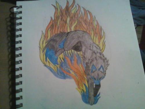 serigala Drawings I did