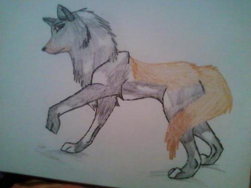  волк Drawings I did