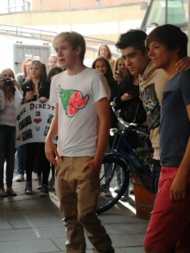  1D = Heartthrobs!! Niall, Zayn & Louis At Sweden Airport Ready To Cum Home! 100% Real ♥