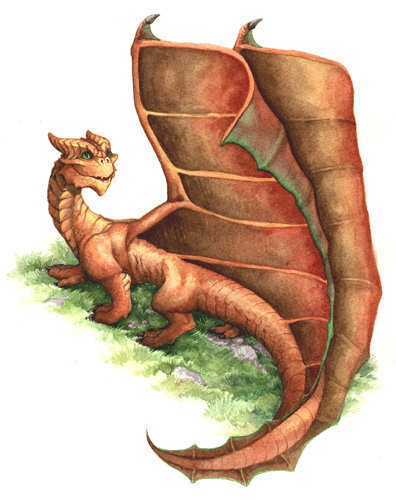  Baby Copper Dragon