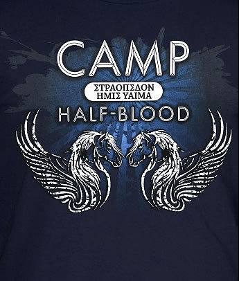  Camp Logo