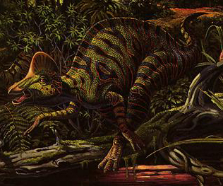  Corythosaurus