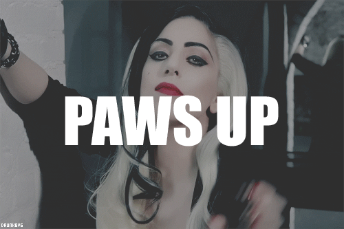  Gaga - Paws Up