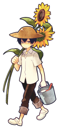  Hibari_sunflowers