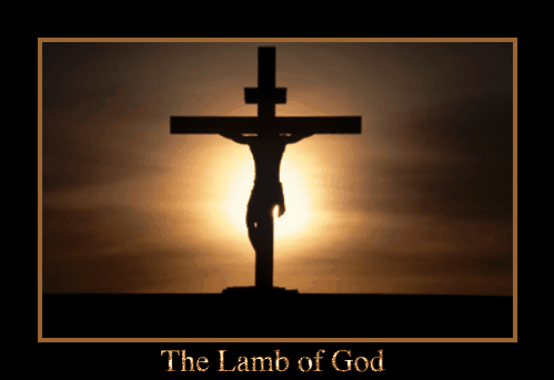  耶稣 - The 羊肉, 羔羊 Of God