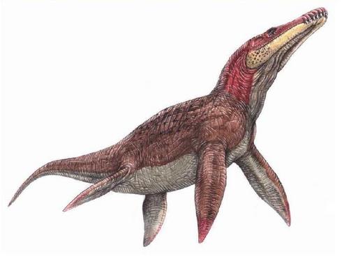  Liopleurodon