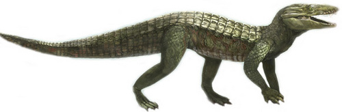  Malawisuchus