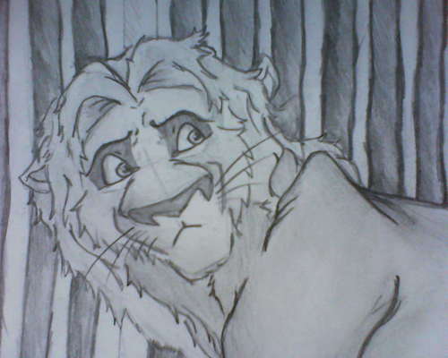  My Lion Drawing