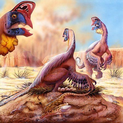  Oviraptor