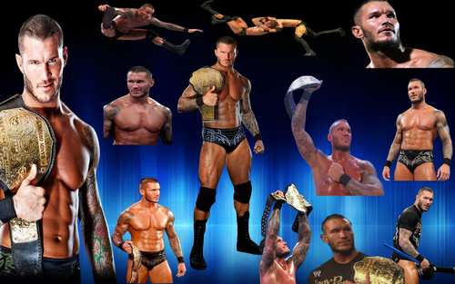  Randy Orton (scruff)