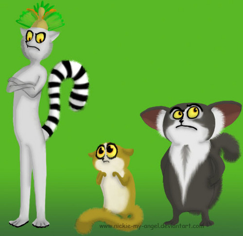 lemur team