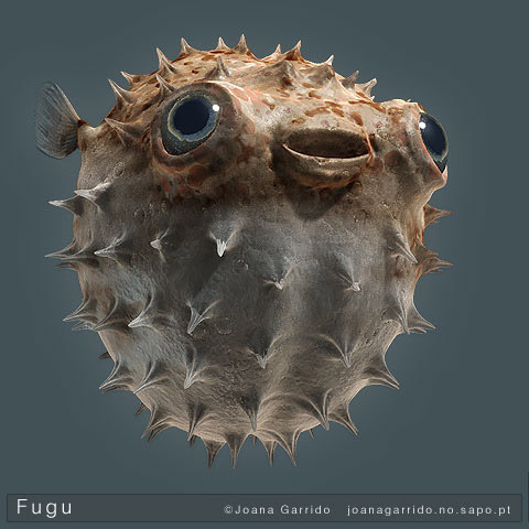  Fugu puffer рыба