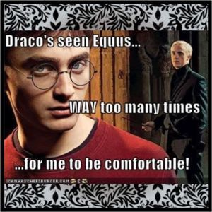  Harry Potter Funnies!