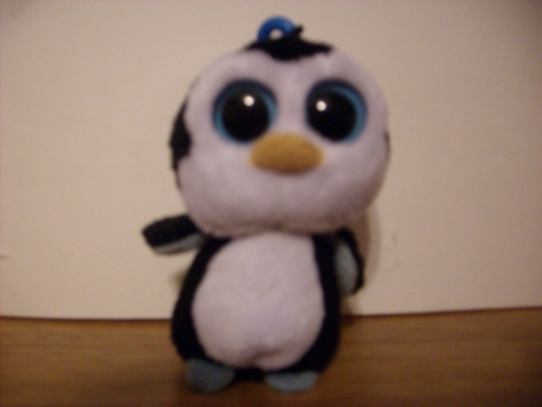  My New pingüino, pingüino de Plush
