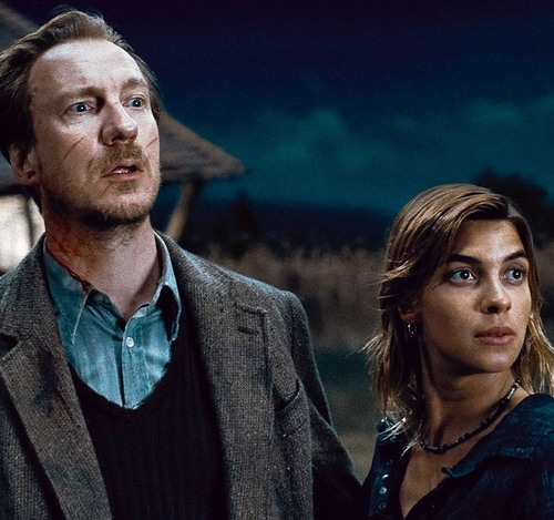  Remus Lupin with टॉंक्स