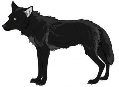  black 狼, オオカミ