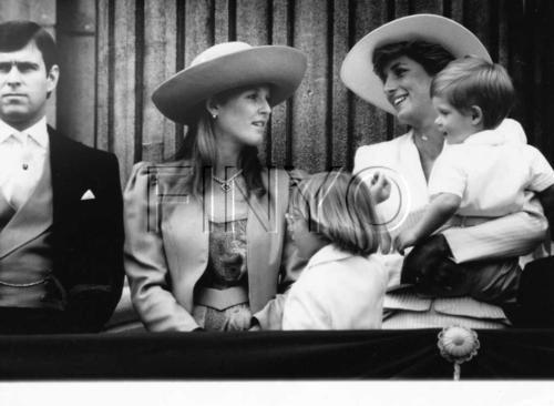 The Royal Family Back In 1982 - Princess Diana Photo (35208095) - Fanpop