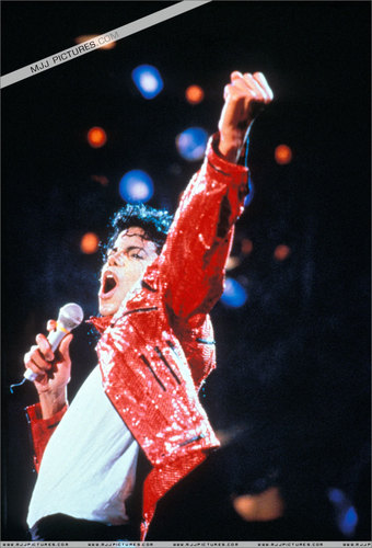  we all know whos the king ^_^ MJ
